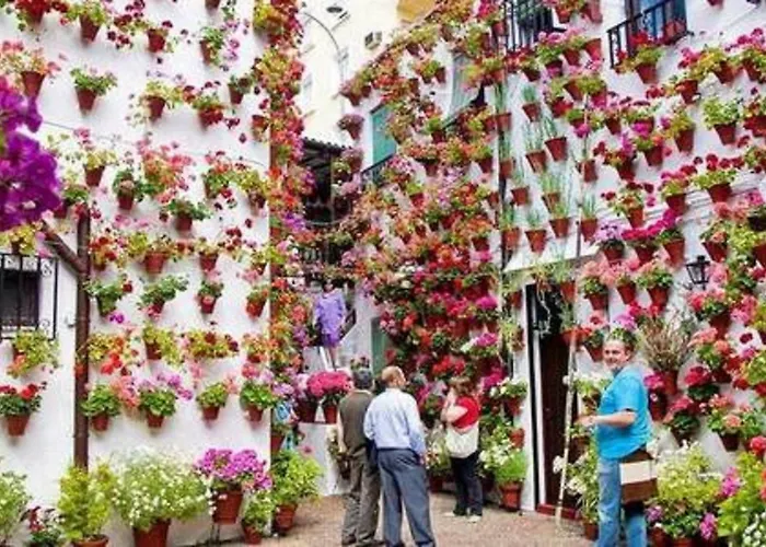 Con Encanto En * Cordoue